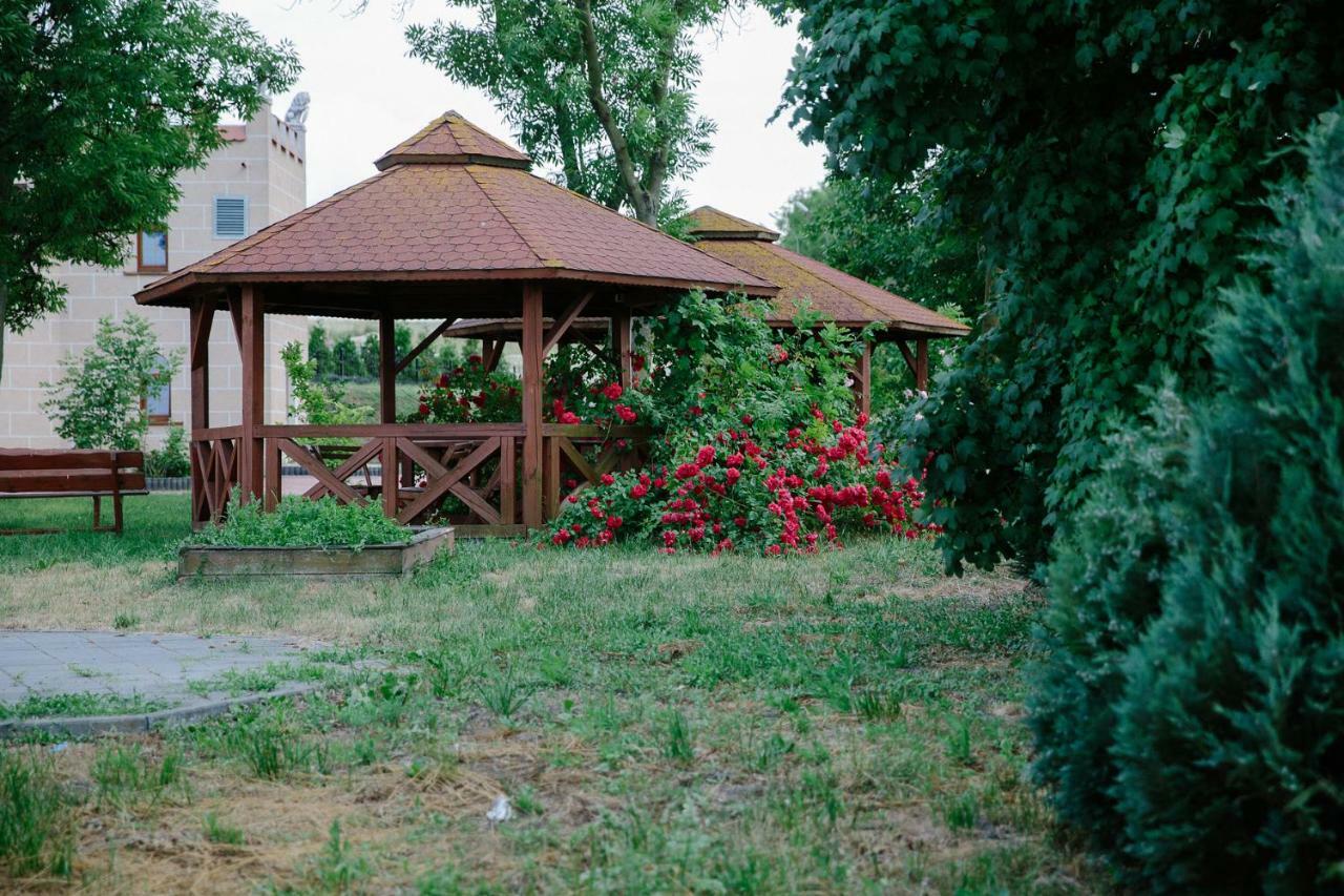Palac Koronny Noclegi & Wypoczynek Wodzisław Dış mekan fotoğraf